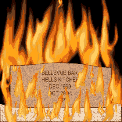 bellevuerip_ani_500